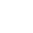 Birthday Cake Icon