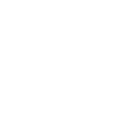 Christmas Tree Icon